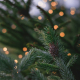 closeup photography of pine tree with pinecone