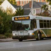 white and green bus on road during daytime