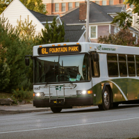 white and green bus on road during daytime